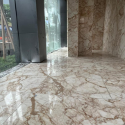 Calacatta Gold Classico